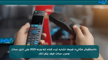 «استقبال مثالي» ضبط إشارة تردد قناة تنة ورنة 2025 على نايل سات وعرب سات كيف يتم ذلك